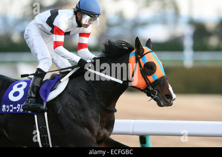 Aichi, Japon. 7 Décembre, 2014. Tarumae Hokko (Hideaki Miyuki) les courses de chevaux : Hokko Tarumae monté par Hideaki Miyuki remporte la Coupe des Champions à Chukyo Racecourse à Aichi, Japon . © Eiichi Yamane/AFLO/Alamy Live News Banque D'Images