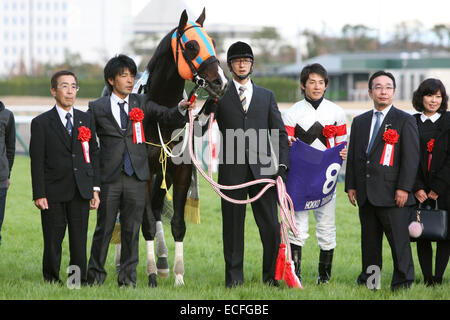 Aichi, Japon. 7 Décembre, 2014. Tarumae Hokko (Hideaki Miyuki), Michiaki Yabe, Katsuichi Nishiura Horse Racing : Propriétaire Michiaki Yabe (2e R), formateur Katsuichi Nishiura (L) et jockey Hideaki Miyuki (3e R) posent avec Hokko Tarumae après avoir remporté la Coupe des Champions à Chukyo Racecourse à Aichi, Japon . © Eiichi Yamane/AFLO/Alamy Live News Banque D'Images