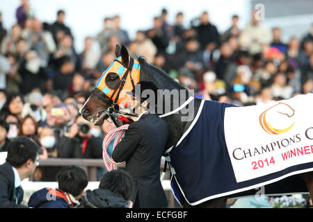 Aichi, Japon. 7 Décembre, 2014. Courses de chevaux : Hokko Tarumae Hokko Tarumae après avoir remporté la Coupe des Champions à Chukyo Racecourse à Aichi, Japon . © Eiichi Yamane/AFLO/Alamy Live News Banque D'Images