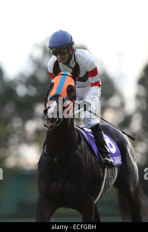 Aichi, Japon. 7 Décembre, 2014. Tarumae Hokko (Hideaki Miyuki) les courses de chevaux : Hokko Tarumae monté par Hideaki Miyuki après avoir remporté la Coupe des Champions à Chukyo Racecourse à Aichi, Japon . © Eiichi Yamane/AFLO/Alamy Live News Banque D'Images