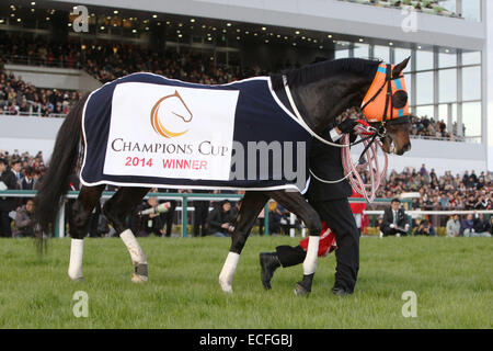 Aichi, Japon. 7 Décembre, 2014. Courses de chevaux : Hokko Tarumae Hokko Tarumae après avoir remporté la Coupe des Champions à Chukyo Racecourse à Aichi, Japon . © Eiichi Yamane/AFLO/Alamy Live News Banque D'Images