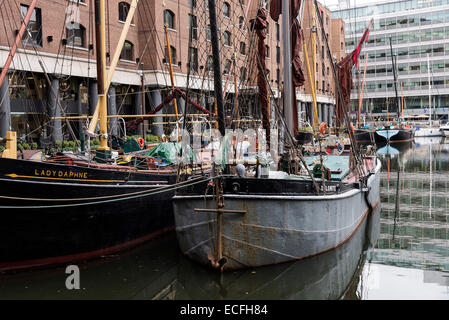 Thames vieux barges et bateaux amarrés dans la marina de St Katharine Docks Tower Hamlets Londres Angleterre Royaume-Uni UK Banque D'Images