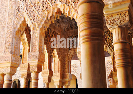 Grenade, l'Alhambra, le palais et la Cour des Lions Banque D'Images