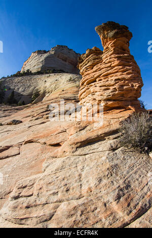 Formations de grès intéressantes dans le Parc National Zion aussi connu sous le nom de cheminées Banque D'Images