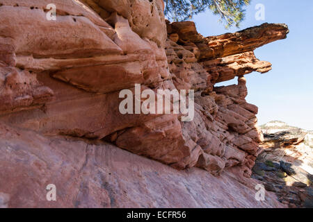 Formations de grès intéressantes dans le Parc National Zion aussi connu sous le nom de cheminées Banque D'Images