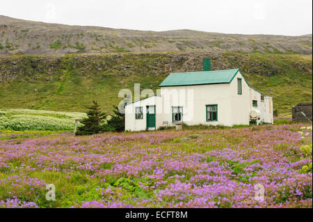 Hesteyri, Hornstrandir, Westfjords, Islande, juillet 2012 Banque D'Images