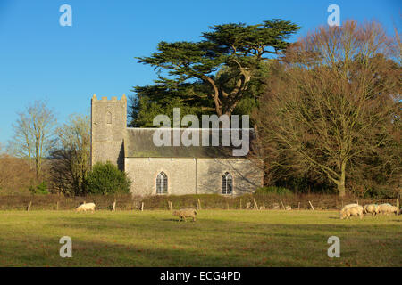 L'église St Mary. Chapelle dans un boisé. Lumière d'hiver d'ombres intéressantes sur les murs en pierre. Banque D'Images