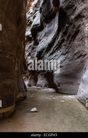 Beau paysage du Goulet dans Zion National Park avec la vierge qui traverse la fente canyon Banque D'Images