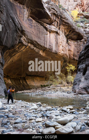 Homme randonnée le passage étroit dans Zion National Park avec la vierge qui traverse la fente canyon Banque D'Images