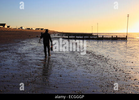 Un appât digger revient à la maison au coucher du soleil sur la plage de Heacham. Banque D'Images