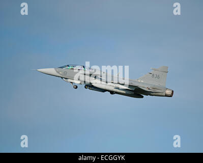 Saab Gripen suédois No 836 sur l'exercice à RAF Lossiemouth en Écosse. 9349 SCO. Banque D'Images