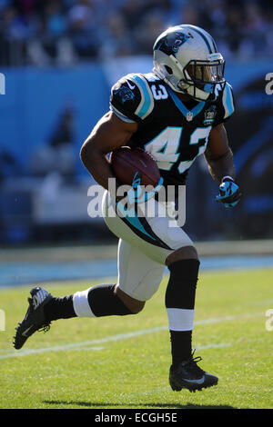 Stade de l'Amérique, Charlotte, NC, USA. 14 Décembre, 2014. Running back Carolina Panthers Fozzy Whittaker # 43 lors de NFL football match entre l'équipe des Tampa Bay Buccaneers et les Panthers au stade Bank of America, Charlotte, NC. © csm/Alamy Live News Banque D'Images