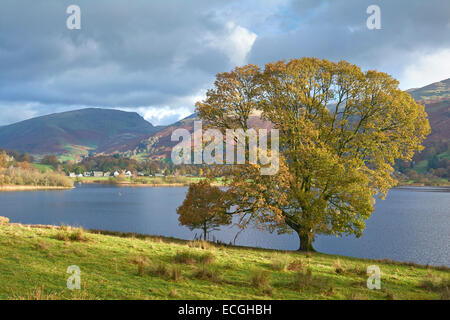 L'automne à Grasmere, Lake District, England, UK Banque D'Images