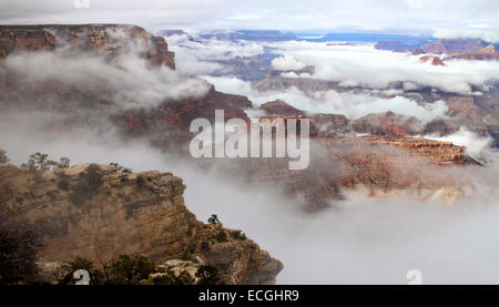 L'inversion de la nébulosité totale vu de Yavapai Musée de géologie sur la Rive Sud le 3 décembre 2014 dans le Parc National du Grand Canyon, Arizona. Le rare phénomène est causé lorsque le sol perd de la chaleur rapidement, à l'aube pour créer une couche d'air frais et humide à l'intérieur du canyon, le piégeant sous le ciel au-dessus de la plus chaude exceptionnellement les murs de canyon et de remplissage l'espace avec une mer de brouillard. Les représentants du parc a déclaré que le phénomène est une occurrence de la décennie. Banque D'Images