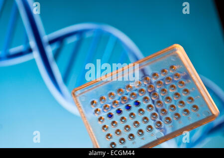 L'essai d'ADN au laboratoire. Avec des échantillons de plaque bien sur l'arrière-plan de la séquence d'ADN. Banque D'Images