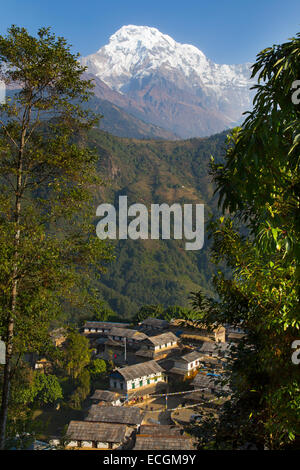 Le village de montagne de Ghandruk dans la vallée de la modi Khola à environ 2000 mètres au sud de l'Annapurna et de distance en Y. Banque D'Images