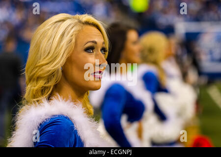 Indianapolis, Indiana, USA. 14 Décembre, 2014. Indianapolis Colts meneuse de regarder le monde au cours de la NFL match entre Houston Texans et Indianapolis Colts le 14 décembre 2014. 10 - Houston Texans Indianapolis Colts 17. Credit : Cal Sport Media/Alamy Live News Banque D'Images