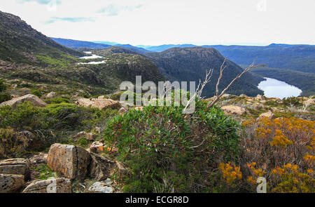 Durée de Tarn et le petit lac dans le Mt. Domaine National Park, Tasmanie, Australie Banque D'Images