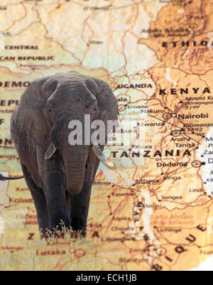 L'éléphant d'anciennes recouvrant une carte style vintage de Tanzanie et Kenya Banque D'Images