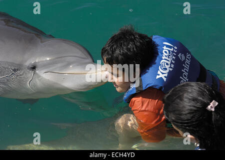 Nager avec les dauphins, Xcaret, l'éco-parc archéologique, Playa del Carmen, Quintana Roo, Riviera Maya de l'état Banque D'Images