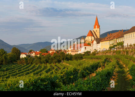 Paysage urbain, Weißenkirchen in der Wachau, Wachau, Waldviertel, Basse Autriche, Autriche Banque D'Images