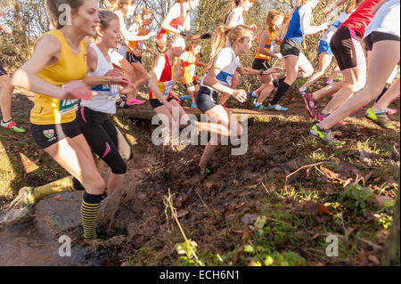 Choix de petits pieds ou en sautant du pont étroit en sautant les fossés boueux humide dans une course du championnat national de cross county Banque D'Images