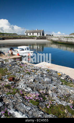 Bateau de pêche en Ballintoy Harbour, côte de Causeway, le comté d'Antrim, en Irlande du Nord. Banque D'Images