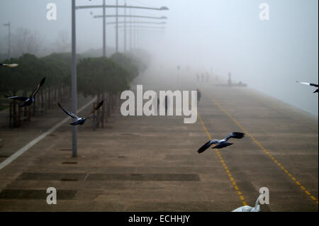 Thessalonique, Grèce. 15 décembre 2014. Un brouillard épais enveloppait la ville portuaire grecque du nord de Thessalonique sur lundi à l'origine des problèmes pour certains vols entrants. Credit : Orhan Tsolak / Alamy Live News Banque D'Images