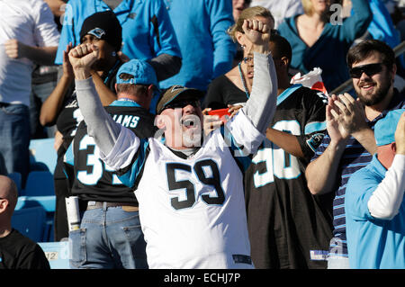 Charlotte, NC, USA. 14 Décembre, 2014. Panthers fans célébrer un touché dans un match contre les NFL Tampa Bay Buccaneers au stade Bank of America le 14 décembre 2014, à Charlotte, NC. Les Panthère défait les Buccaneers 19-17. Margaret Bowles/CSM/Alamy Live News Banque D'Images