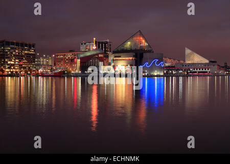 Skyline reflète dans Baltimore Inner Harbor Banque D'Images