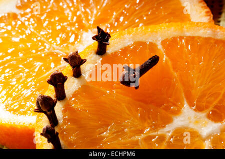 Les tranches d'orange frais coupé et de girofle prêt à décorer la cuisine Banque D'Images