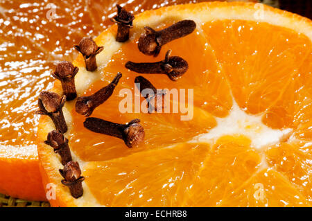 Les tranches d'orange frais coupé et de girofle prêt à décorer la cuisine Banque D'Images