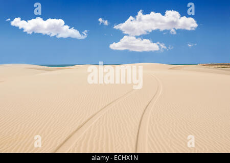 Impression de roue dans le sable des dunes de la plage de Santa Monica - Praia de Santa Monica à Boa Vista - Cap Vert - Cap Vert Banque D'Images