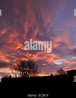 Lever du soleil sur les toits, le ciel gris avec peachy & nuages rose attraper les premiers rayons de soleils couleur contour effet glorieux arbres Banque D'Images