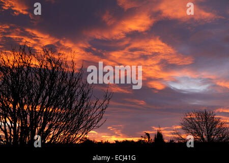 Lever du soleil sur les toits, le ciel gris avec peachy & nuages rose attraper les premiers rayons de soleils couleur contour effet glorieux arbres Banque D'Images