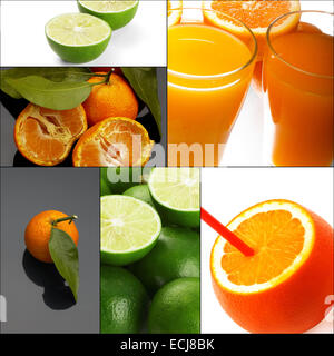 Les agrumes frais composition collage niché sur un cadre carré Banque D'Images