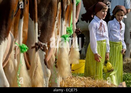 France, Doubs, Malans, comice agricole du canton d'Amancey, vaches vaches montbéliardes exclusivement décorées pour le défilé, les enfants costumés Banque D'Images