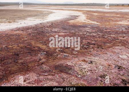 Au Kenya, le lac Magadi Soda, Banque D'Images