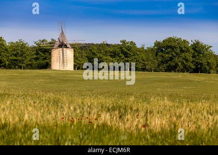 La France, Vaucluse, parc naturel régional du Luberon, Sannes, moulin près d'une cigarette Banque D'Images