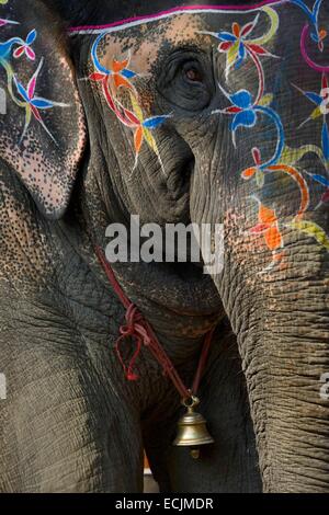 L'Inde, le Bihar, région de Patna, Sonepur, juste de l'élevage l'éléphant bazar Banque D'Images