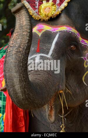 L'Inde, le Bihar, région de Patna, Sonepur, juste de l'élevage l'éléphant bazar Banque D'Images