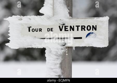 France, Vosges, Massif du Ventron, Réserve naturelle du Grand Ventron, sommet (1204 m), le panneau du Club Vosgien Banque D'Images