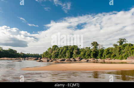 Paysage de la rivière Suriname avec roche de granit et de forêt tropicale intacte dans la région de Suriname entendre Goejaba Banque D'Images