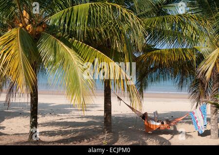 La Malaisie, l'État de Pahang, l'île de Tioman, Pulau Tioman, local de la mer de Chine du Sud Banque D'Images