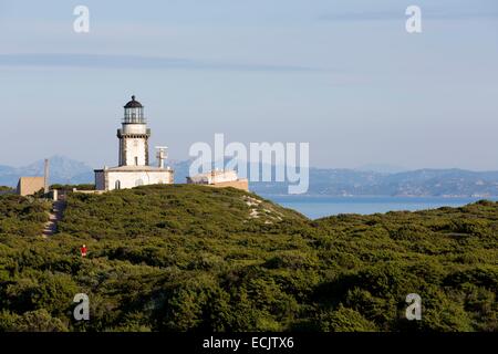 France, Corse du Sud, Bonifacio, Le Cap et phare de Pertusato, dans l'arrière-plan la Sardaigne Banque D'Images