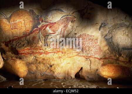 La France, l'Ariège, Tarascon sur Ariege, parc préhistorique, télécopieur, espace muséographique du grand panneau de la grotte de Marsoulas en Haute Garonne Banque D'Images