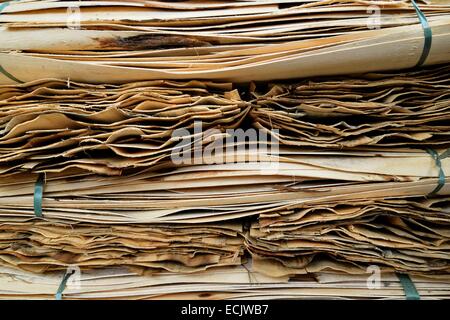 Vietnam, province de Lao Cai, Bac Ha, placage bois faire Banque D'Images