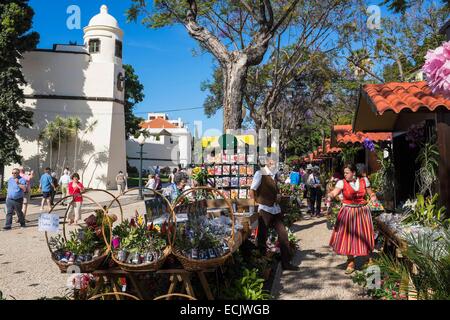 Le Portugal, l'île de Madère, Funchal, marché touristique le long de l'Avenida Arriaga et Palacio de Sao Lourenco, forteresse historique du 15ème siècle, résidence officielle pour le premier ministre et le Musée Militaire Banque D'Images