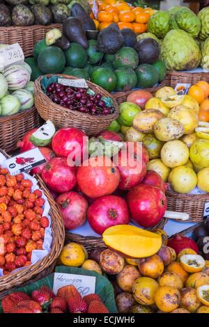 Le Portugal, l'île de Madère, Funchal, marché de producteurs (Mercado DOS Lavradores) dans le quartier historique de Santa Maria Banque D'Images