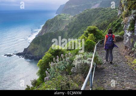 Le Portugal, l'île de Madère, côte nord, randonnées de Boaventura à Arco de Sao Jorge sur un vieux chemin pavé Banque D'Images